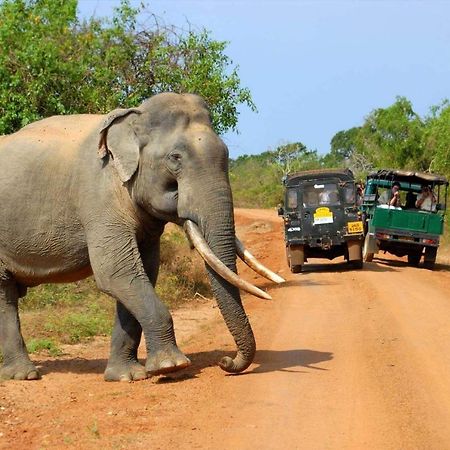 Leesa Villa Safari Resort Udawalawe Ngoại thất bức ảnh