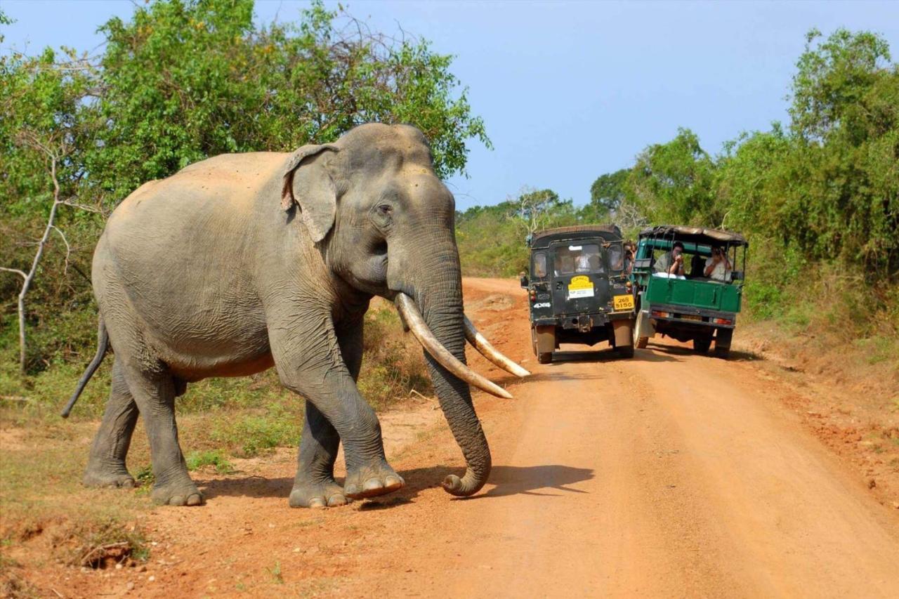Leesa Villa Safari Resort Udawalawe Ngoại thất bức ảnh