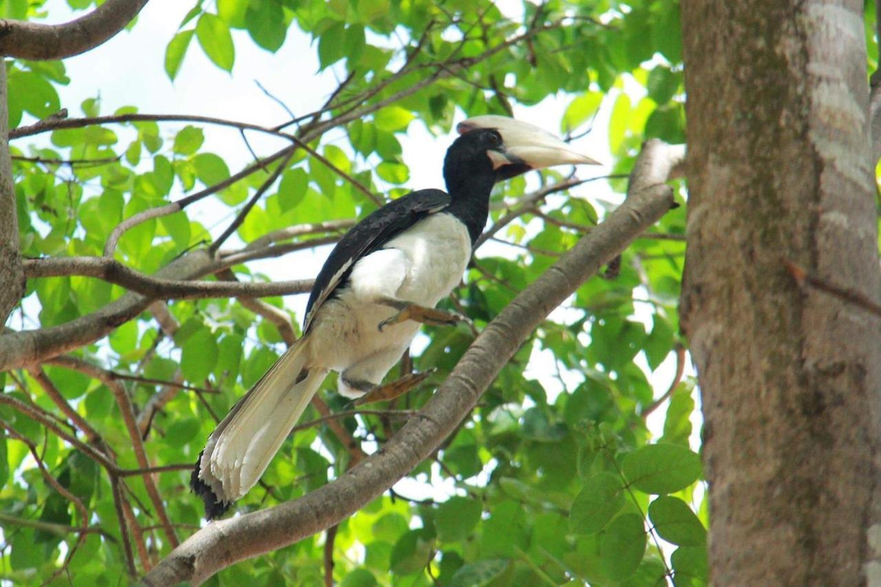 Leesa Villa Safari Resort Udawalawe Ngoại thất bức ảnh