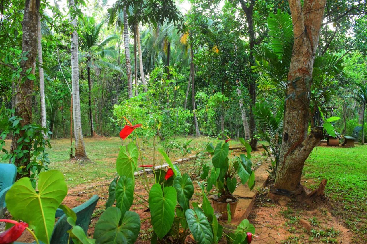 Leesa Villa Safari Resort Udawalawe Ngoại thất bức ảnh